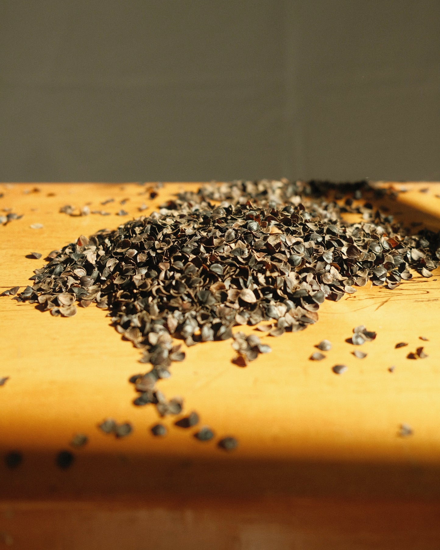 organic buckwheat hulls → in bulk
