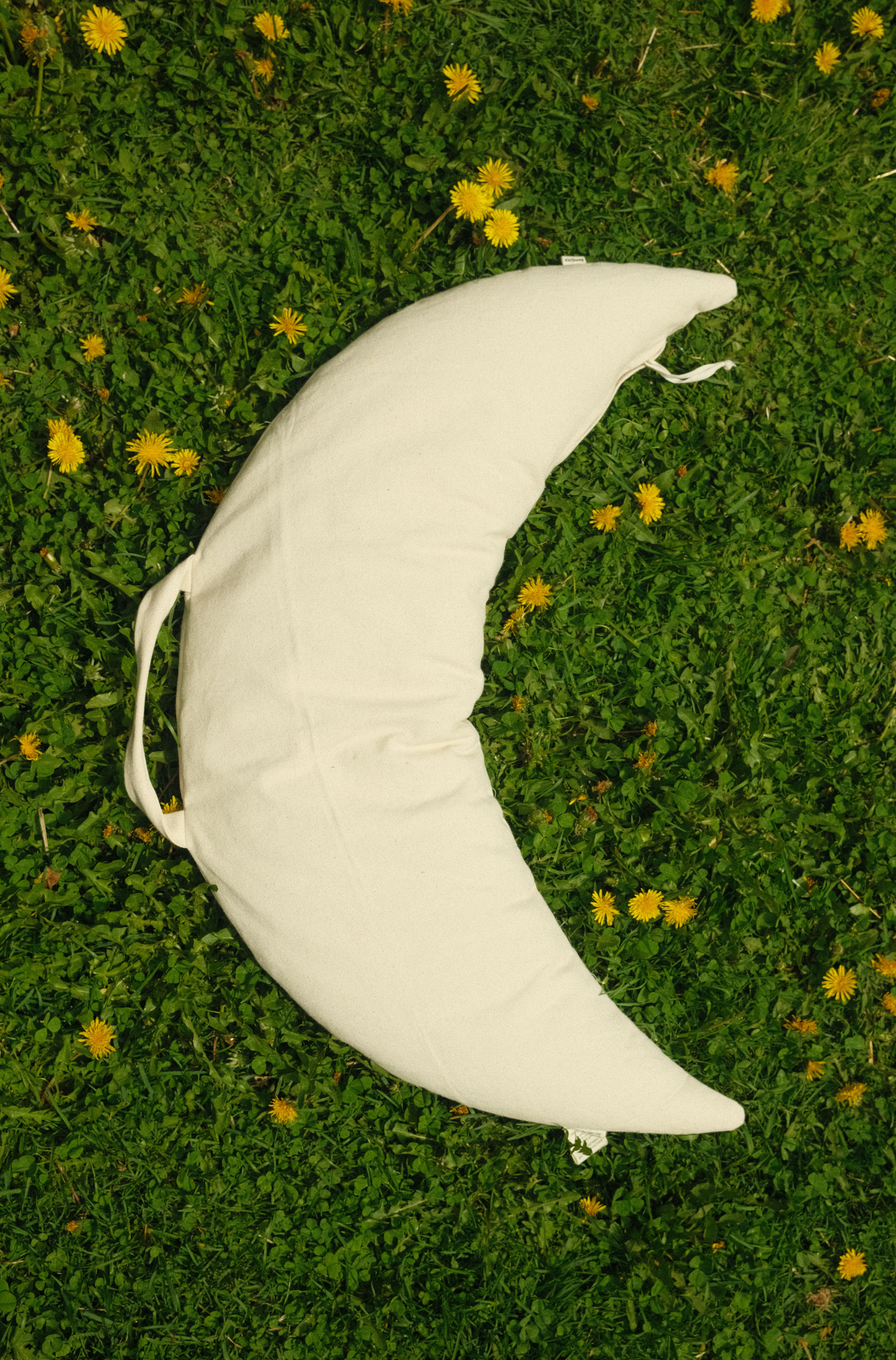 the big organic nursing pillow → with cover